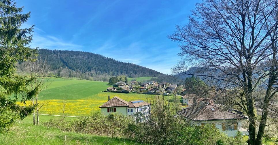 A SAISIR ! SUPERBE VILLA AU COEUR D'UN ÉCRIN DE VERDURE