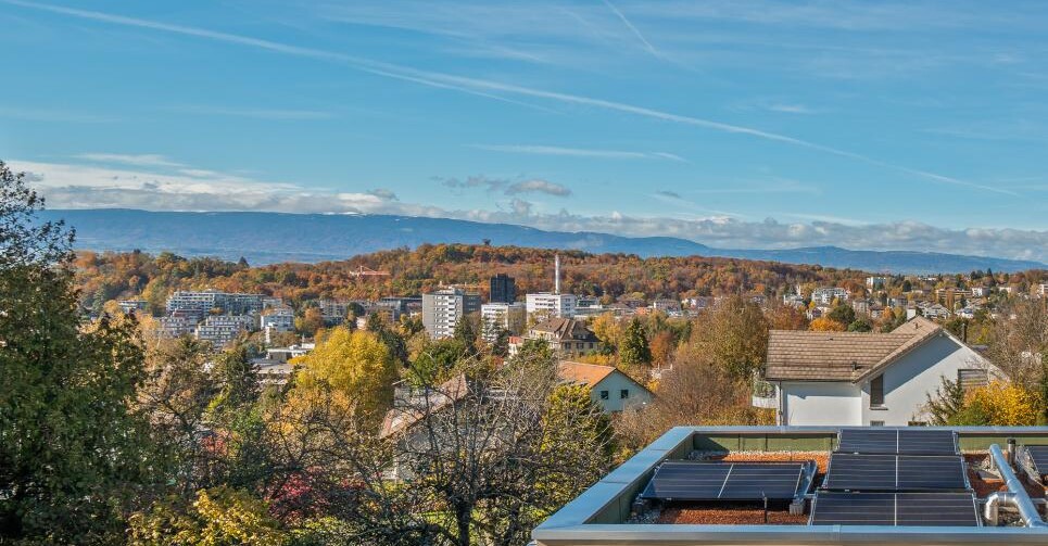TOUT JUSTE LIVRÉES SUR LES HAUTS DE CHAILLY