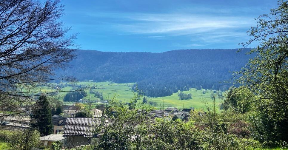 A SAISIR ! SUPERBE VILLA AU COEUR D'UN ÉCRIN DE VERDURE