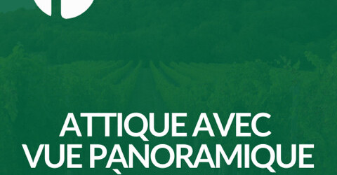 Superbe attique de 3.5 pièces avec terrasse et vue