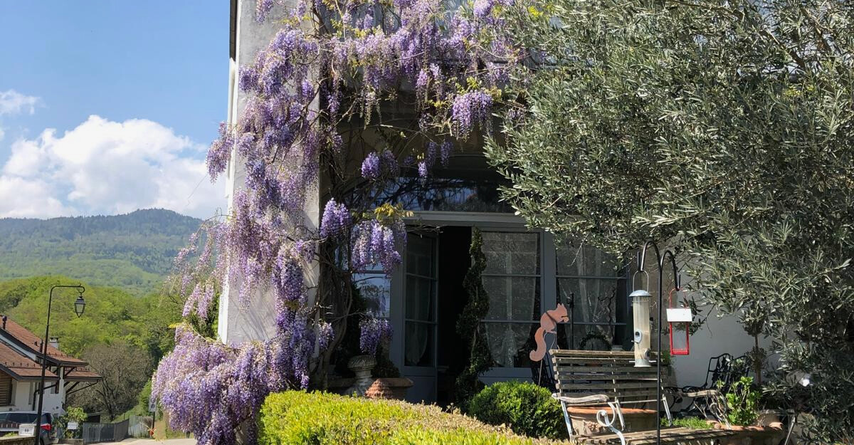 CALME / SITUATION PRISÉE