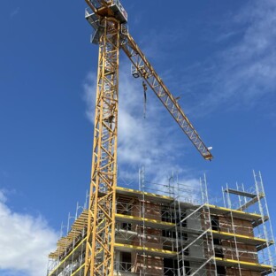 70% DES LOTS ONT TROUVÉ PRENEUR