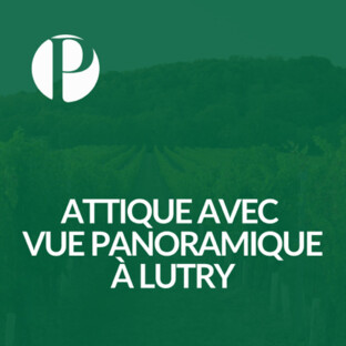 Superbe attique de 3.5 pièces avec terrasse et vue