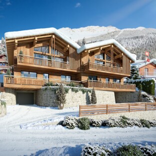 NOUVELLE PROMOTION CHALETS GEMINI 1308