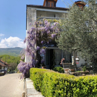 PROXIMITÉ IMMÉDIATE DE NYON 