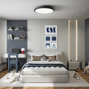 6 MAISONS NEUVES A VILLARS-BURQUIN AVEC VUE PLONGEANTE SUR LE LAC !