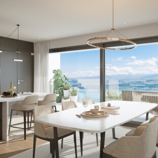 6 MAISONS NEUVES A VILLARS-BURQUIN AVEC VUE PLONGEANTE SUR LE LAC !