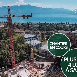 PLUS QUE 4 LOTS DISPONIBLES AUX MOUSQUINES