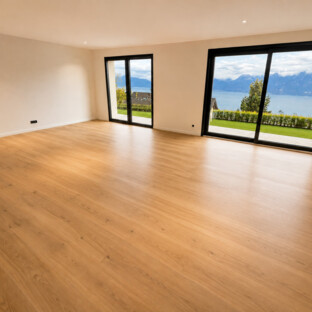 Élégante maison - Vue lac imprenable au cœur du Lavaux