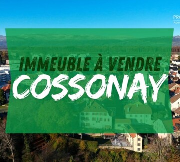 IMMEUBLE REFAIT A NEUF 4.7% NET