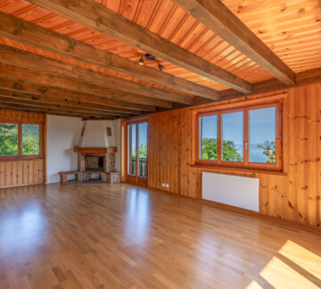 UN PANORAMA D'EXCEPTION SUR LE LÉMAN 