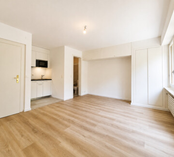 Studio refait à neuf à deux pas du lac et de la gare!