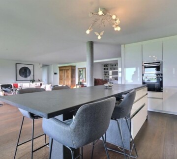 SPLENDIDE VUE SUR LE LAC DANS UN ÉCRIN DE VERDURE