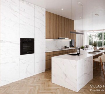 Villa d'exception au coeur de Tannay - PERMIS EN FORCE