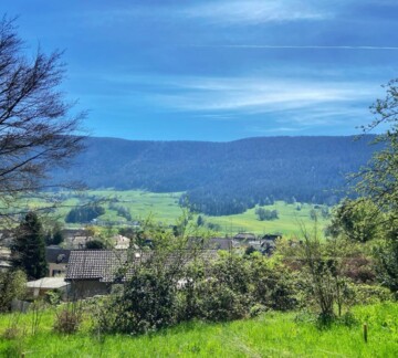 CHANTIER EN COURS ! PLUS QUE DEUX VILLAS À SAISIR AU COEUR D'UN ÉCRIN DE VERDURE !