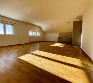 UNIQUE ! SPLENDIDE LOGEMENT AU COEUR DE LA NATURE !