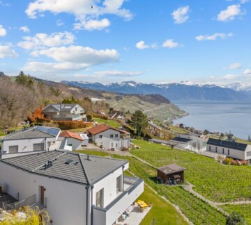 Superbe attique avec vue panoramique