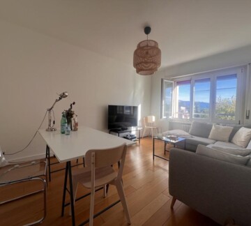 UN BIEN LUMINEUX ET RENOVE!