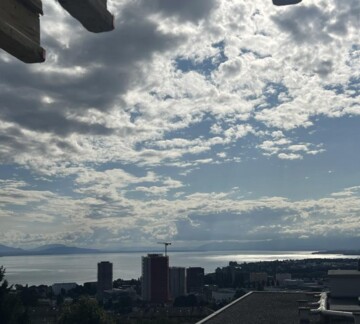 70% DES LOTS ONT TROUVÉ PRENEUR