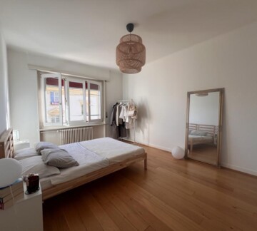 UN BIEN LUMINEUX ET RENOVE!