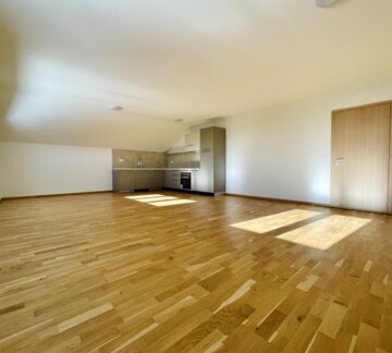 UNIQUE ! SPLENDIDE LOGEMENT AU COEUR DE LA NATURE !