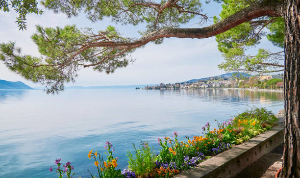 Montreux