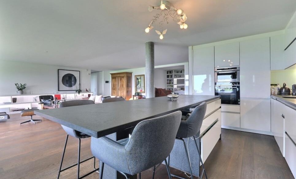 SPLENDIDE VUE SUR LE LAC DANS UN ÉCRIN DE VERDURE