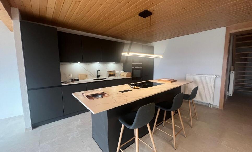 Lumineux appartement de 6,5 proche de la nature