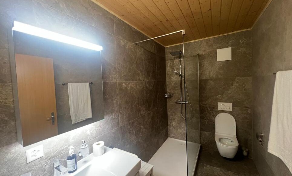 Lumineux appartement de 6,5 proche de la nature