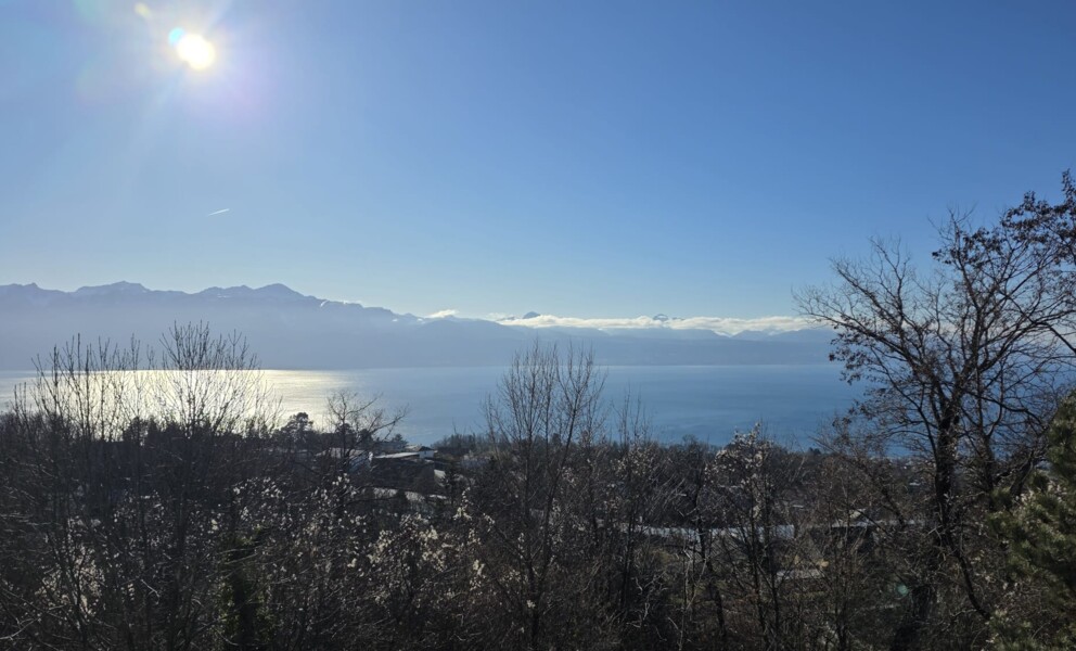 En parfaite symbiose avec le Léman