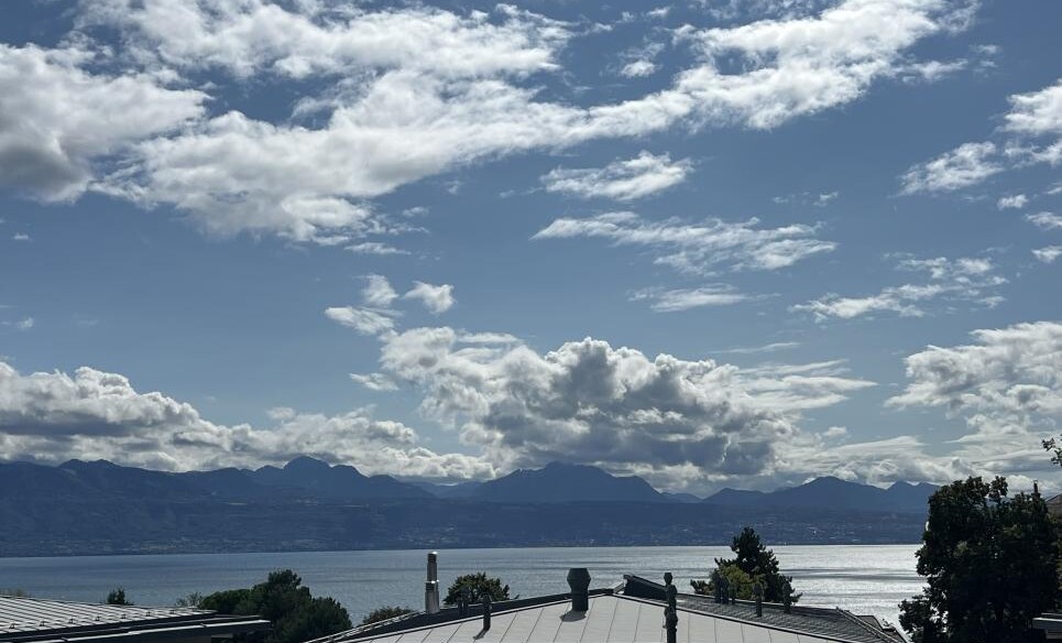 CHANTIER OUVERT AUX MOUSQUINES