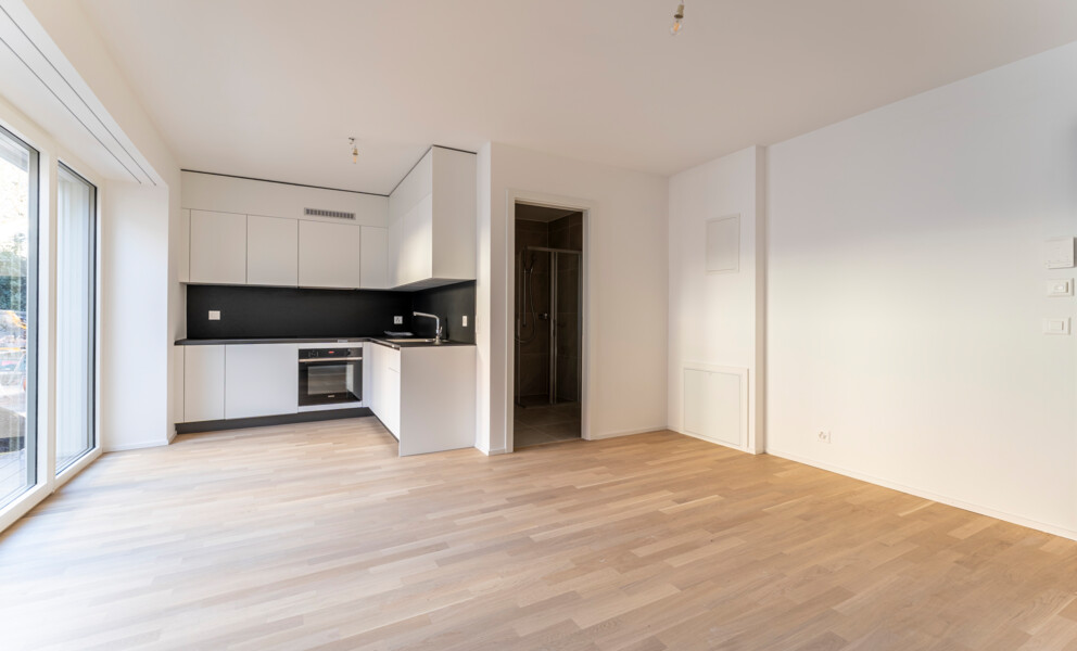 NEUF ET DISPONIBLE DE SUITE, A 5 MIN D'EPALINGES.