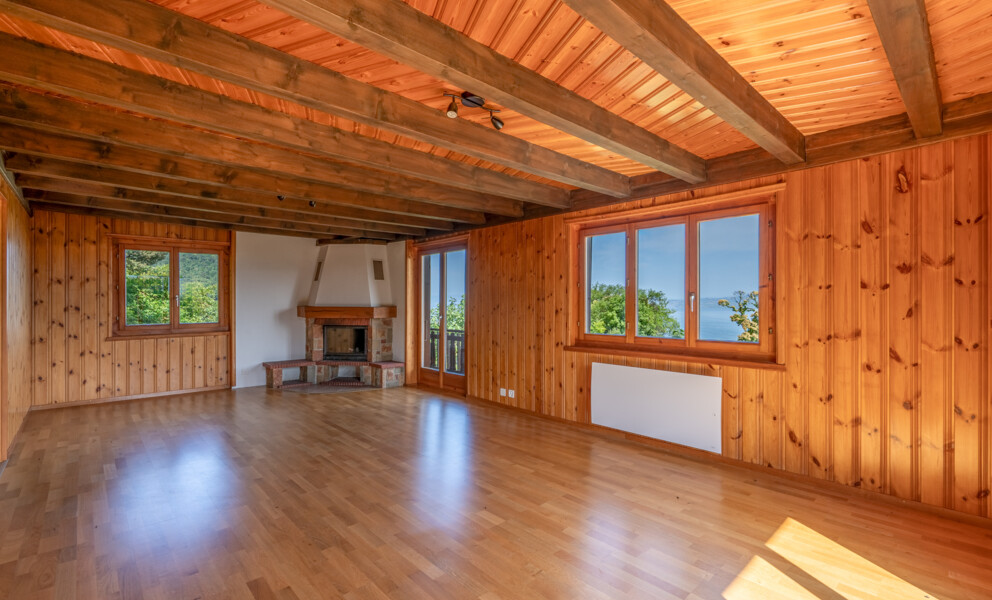 UN PANORAMA D'EXCEPTION SUR LE LÉMAN 