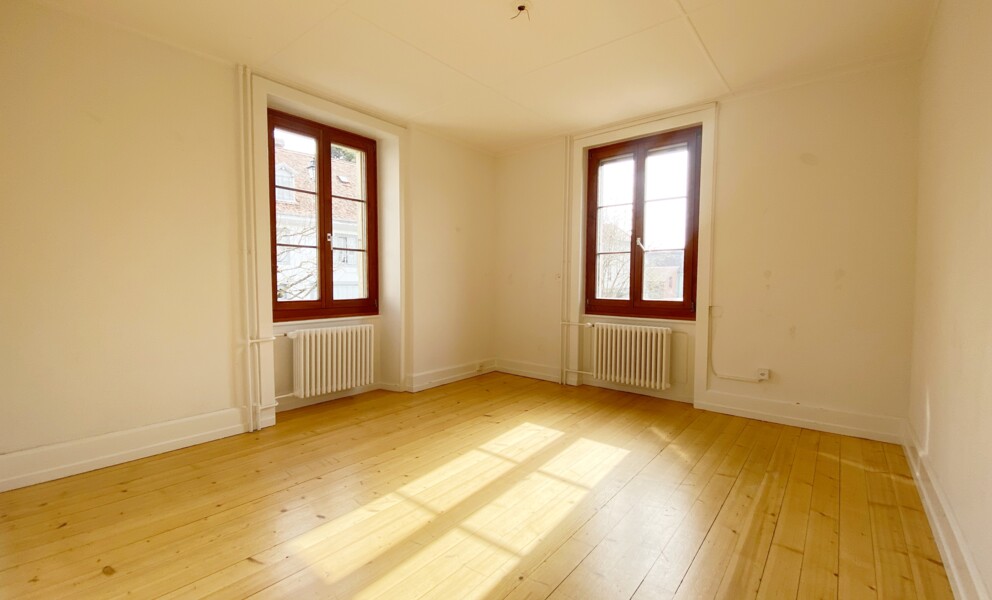 VILLA LOCATIVE DE DEUX APPARTEMENTS A CONCISE !