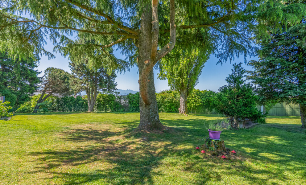 EN EXCLUSIVITÉ! Parcelle constructible au Mont-sur-Lausanne!