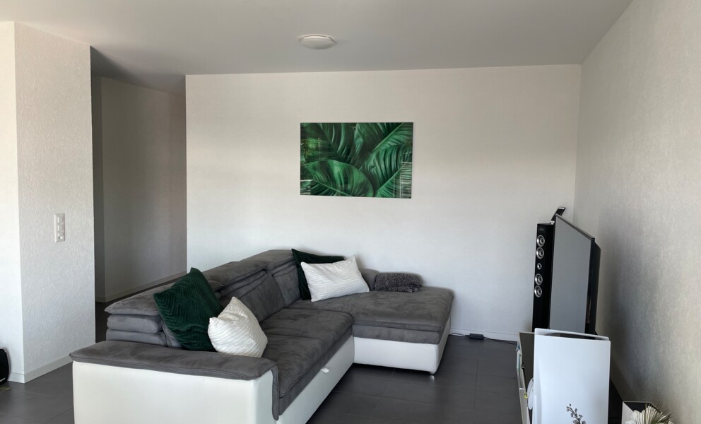 MAGNIFIQUE APPARTEMENT AVEC BALCON À 200M DU LAC