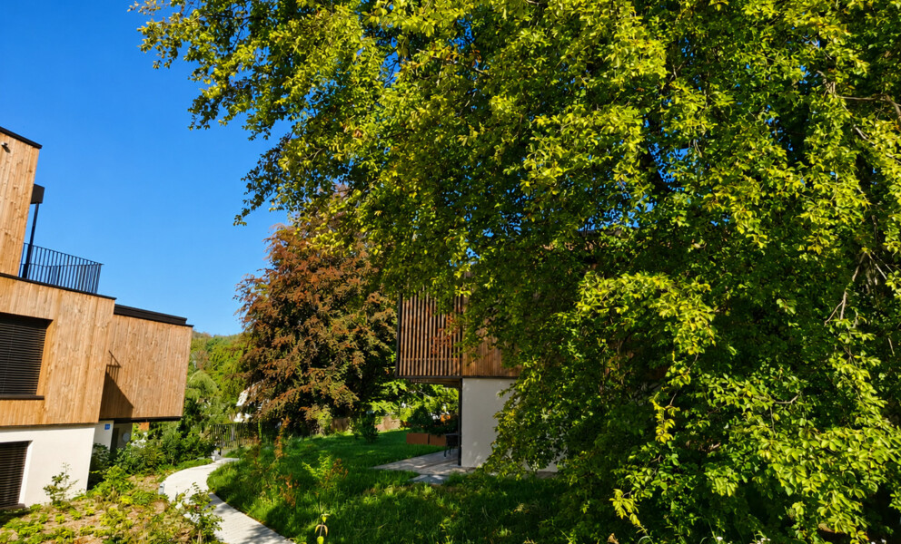 L'impossible rendu possible ! Duplex neufs dans une oasis de verdure à deux pas du M2