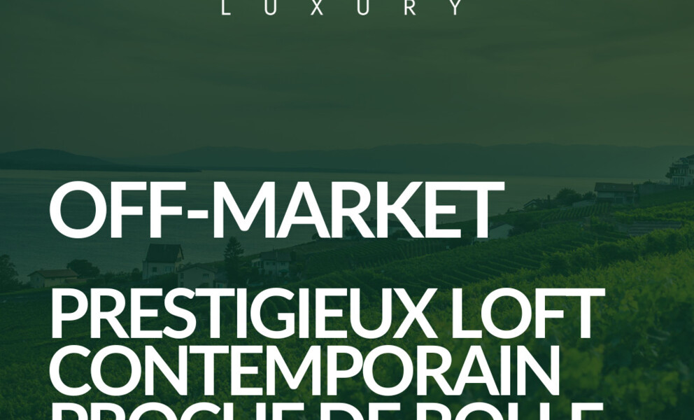 Prestigieux loft contemporain