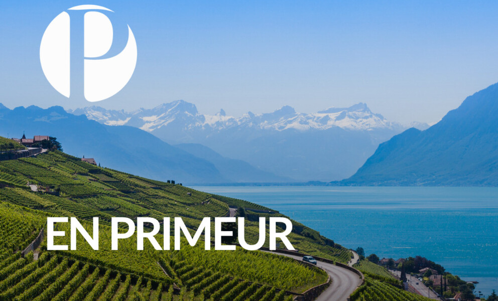 LUXUEUSE PROPRIÉTÉ AVEC LE LAC COMME HORIZON