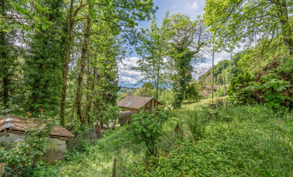 AUTHENTIQUE FERME DE CARACTÈRE