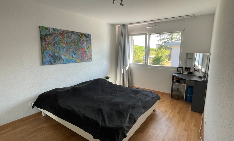 MAGNIFIQUE APPARTEMENT AVEC BALCON À 200M DU LAC