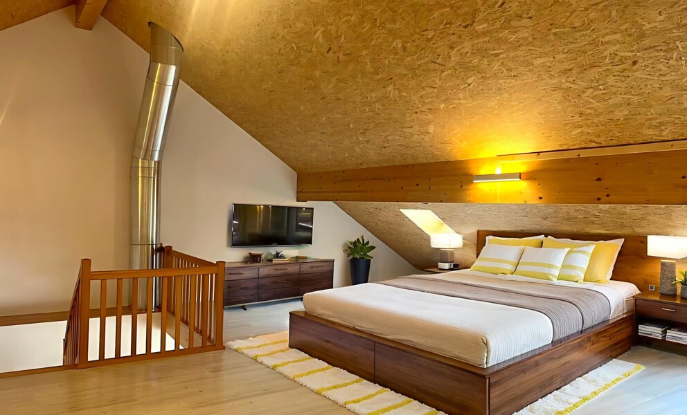 Lumineux appartement de 6,5 proche de la nature