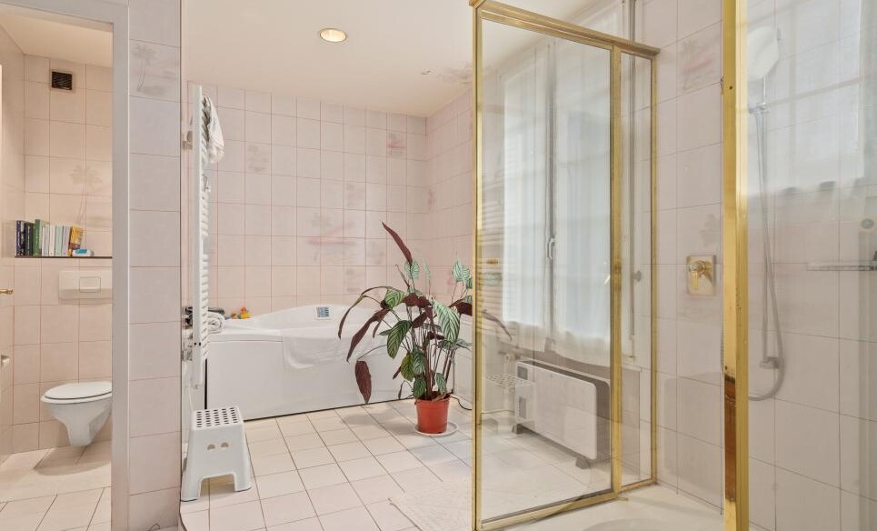 SOMPTUEUSE PROPRIÉTÉ DE MAÎTRE