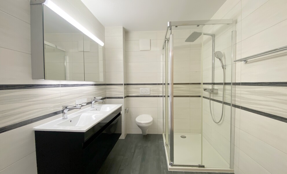 APPARTEMENT ATTIQUE AVEC TERRASSE IDEALEMENT SITUE A ORBE !