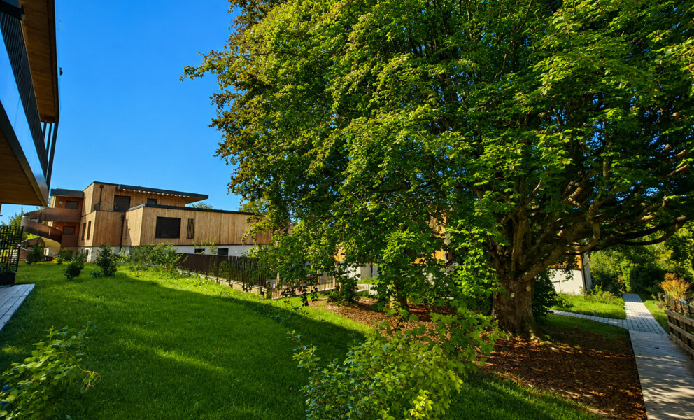 L'impossible rendu possible ! Duplex neufs dans une oasis de verdure à deux pas du M2