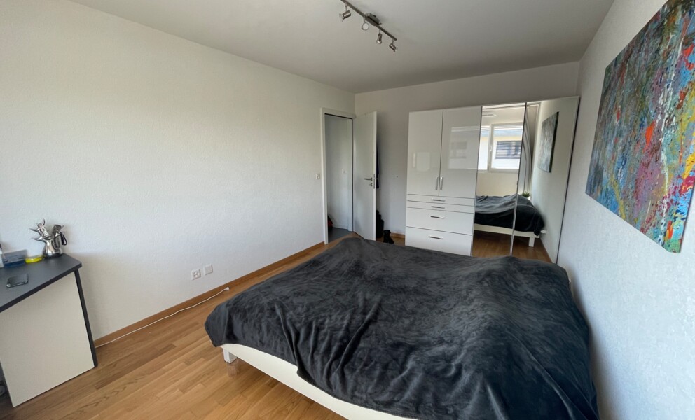 MAGNIFIQUE APPARTEMENT AVEC BALCON À 200M DU LAC