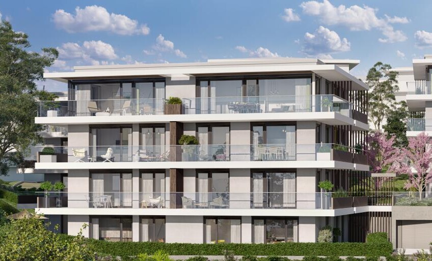 NOUVELLE CHANCE DE VIVRE AUX 5 PALMES !