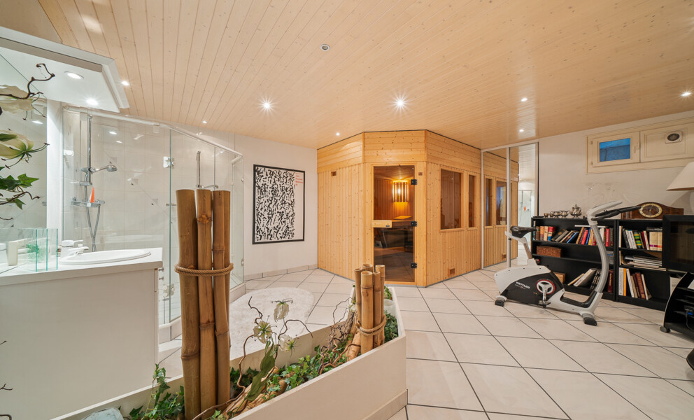 Vue spectaculaire et confort moderne à Genolier