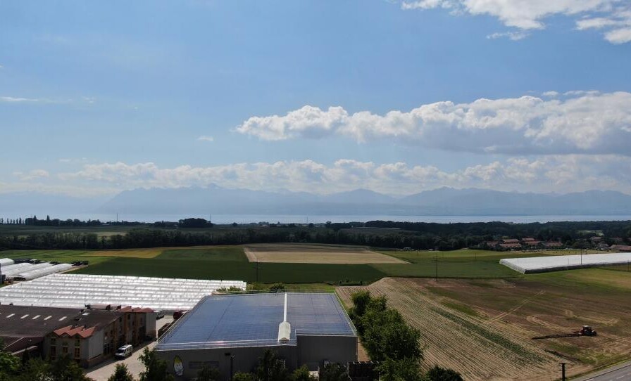 EN PRIMEUR ! NOUVELLE PROMOTION !