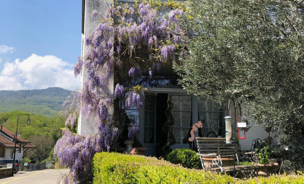 CALME / SITUATION PRISÉE